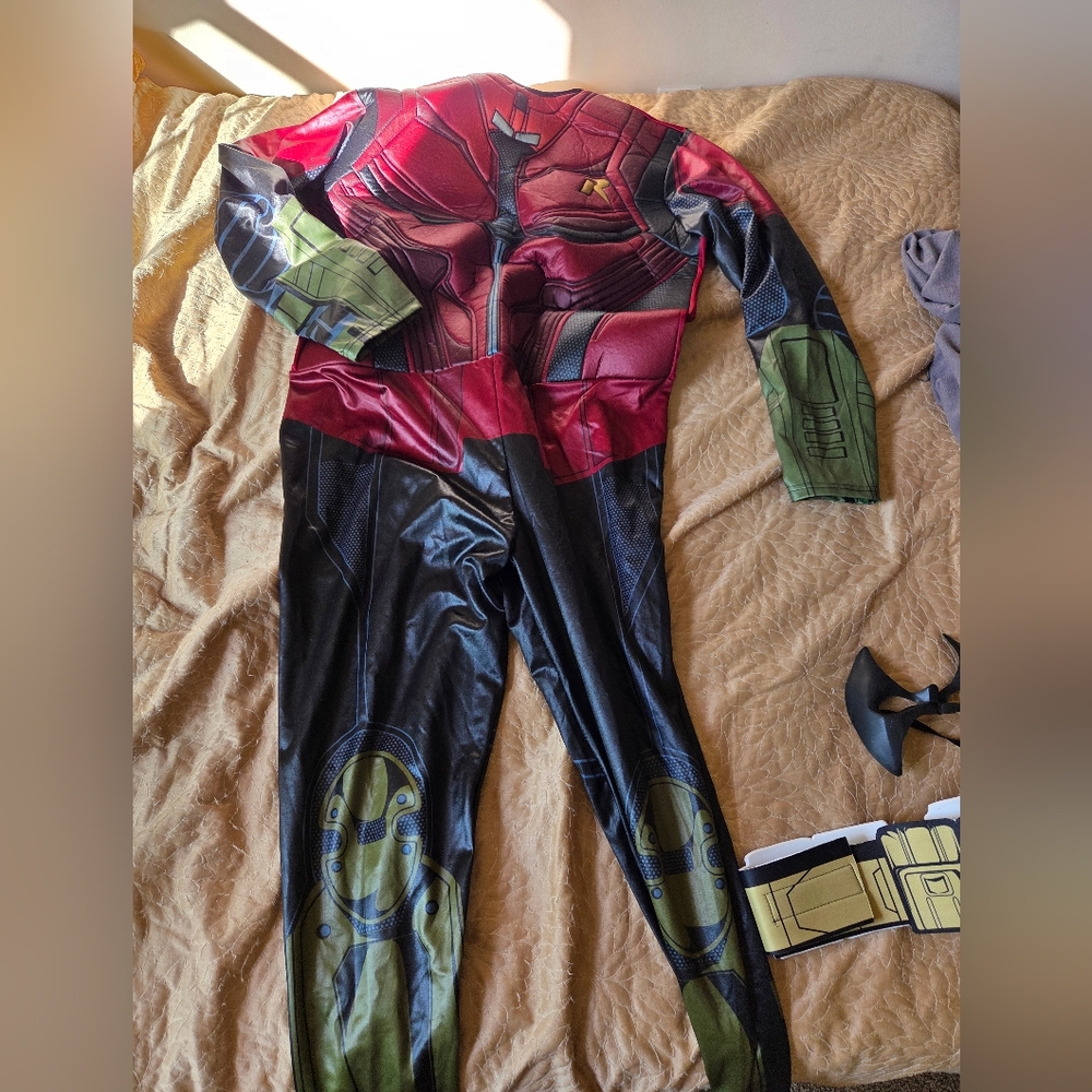 Robin Superhero Costume